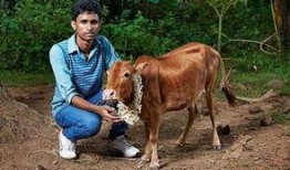 配牛视频在线观看,在线观看农业新体验