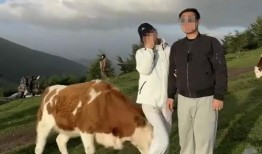 配牛视频在线观看,在线观看农业新体验