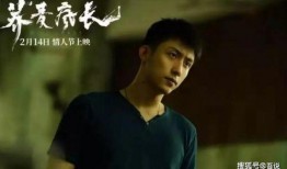 圈内爆料李现黄景瑜视频,幕后真相引热议