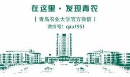 青岛雨后爆料视频,爆料视频捕捉瞬间惊艳画面
