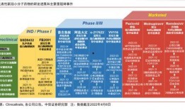 新冠疫情最新爆料新药,揭秘最新研发进展与疗效展望