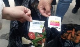 小孩爆料食堂视频,小孩视角下的真实食安现状