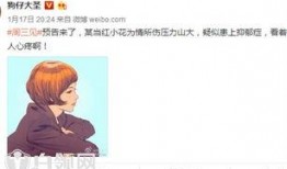红色小花圈内爆料,红色小花圈内的惊人爆料！