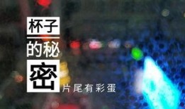 甘肃饭店爆料视频最新,揭秘背后惊人真相