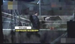 猪灌泥浆爆料视频,揭秘养殖场惊人内幕