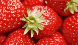 草莓果冻爆料视频大全最新,精彩瞬间尽收眼底
