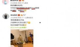 英凯最新爆料消息视频播放,揭秘视频播放背后的惊人真相
