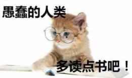 暴发户养崽吃瓜日常免费,揭秘豪门背后的真实生活