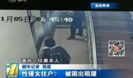 深圳男子爆料视频大全下载,揭秘背后真相与争议