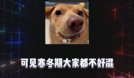 娱乐吃瓜八卦图片,吃瓜群众视角下的明星八卦风云