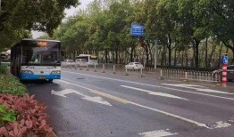 软莓技能爆料怎么做视频,视频制作攻略全解析