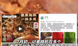 饲料爆料大全视频,探寻养殖行业真相
