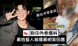 刘大锤最新爆料胡夏,胡夏背后不为人知的秘密