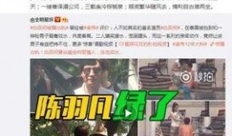 张颖爆料出轨视频播放网站,揭秘网络传播背后的伦理争议