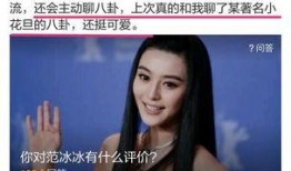 范冰八卦爆料视频大全,视频大全背后的精彩故事