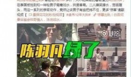 伟卓最新爆料新闻视频,揭秘视频背后的惊人真相