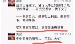 陈公子爆料视频在线观看,揭秘幕后真相，带你走进事件核心