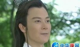 王灿演员爆料视频播放下载,揭秘幕后故事