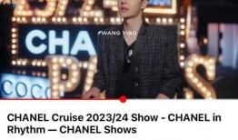 王一博看秀爆料视频是真的吗,真相揭秘