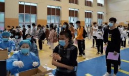 仙迪股份爆料最新消息,揭秘公司重大战略调整与市场前景展望