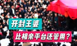 开封王婆最新爆料,娱乐圈背后的惊人真相