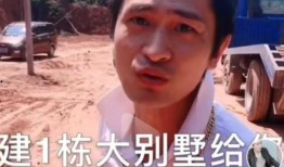 暴发户养崽吃瓜日常免费,揭秘豪门背后的真实生活