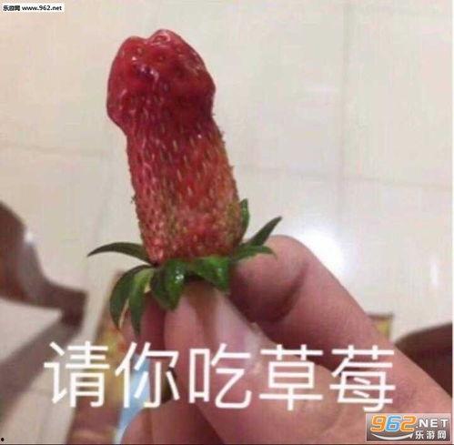 表情图吃瓜是什么意思啊,揭秘“吃瓜”表情图背后的网络文化现象