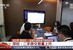 深圳市民阿军最新爆料视频,揭秘深圳市民生活背后惊人真相！