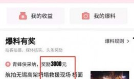 视频爆料有奖励,揭秘幕后真相与丰厚回报