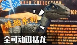 迅猛龙爆料视频,独家爆料视频带你领略恐龙世界