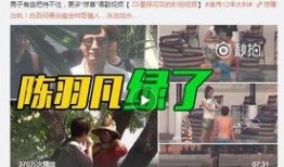 刘文迪视频爆料最新一期,一期视频引发热议