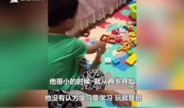 爆料教育网红视频大全集,热门内容盘点与深度解析