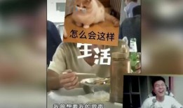 飞哥爆料女主播视频大全,女主播视频大全精彩瞬间大汇总