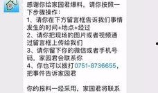 今日爆料文字图片高清,图文并茂的爆料瞬间