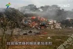 吴川市今日爆料,最新爆料事件大盘点