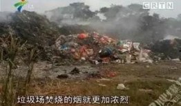 吴川市今日爆料,最新爆料事件大盘点