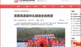 关于芜湖小飞爆料的新闻,揭秘新闻背后的真相与内幕