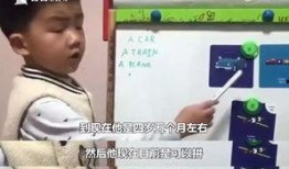 爆料教育网红视频大全集,热门内容盘点与深度解析