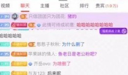 小团团最近的爆料视频,揭秘娱乐圈幕后真相！