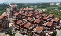 吴川市今日爆料,最新爆料事件大盘点