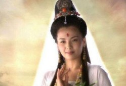 菩萨女星爆料视频大全集,揭秘娱乐圈幕后真相