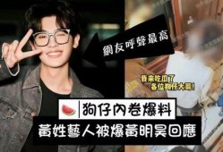 刘大锤最新爆料胡夏,胡夏背后不为人知的秘密