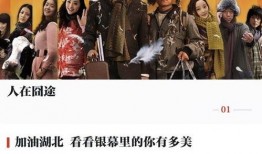 刘文迪视频爆料最新一期,一期视频引发热议