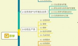 小虎淘气爆料视频大全集,揭秘视频大全集精彩瞬间