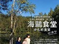 海鸥食堂在线观看,温馨治愈的美食之旅