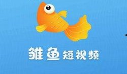 热点爆料鱼儿的视频下载,鱼儿视频下载背后的秘密