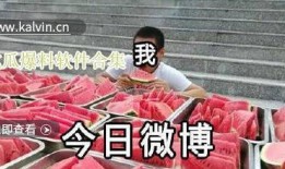 最新吃瓜黑瓜爆料,揭秘明星背后的黑瓜与吃瓜真相